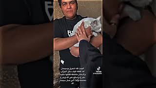 kucing ini selamat dari kebakaran  saudi arabia viral kucing tiktok kebakaran fypシ゚ [upl. by Ahsienor]