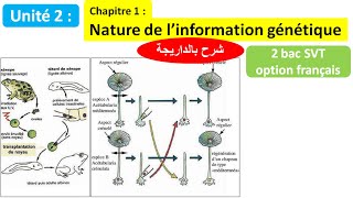 Nature de linformation génétique svt 2 bac svt biof شرح بالداريجة [upl. by Flodnar]