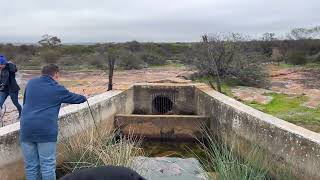 Newcarlbeon Rock  Koorda Shire  WA Wheatbelt [upl. by Ekyt890]