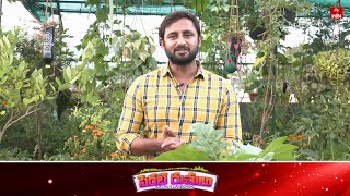 Perati Ruchulu  8th Feb 2024  Full Episode  ETV Abhiruchi [upl. by Sofie]