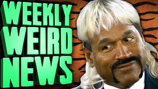 OJ Thinks That B Carole Killed Her Husband  Weekly Weird News [upl. by Faso274]