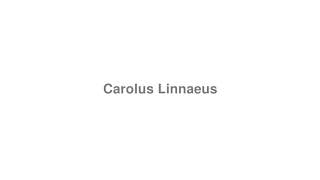 How to Pronounce quotCarolus Linnaeusquot [upl. by Seuqram]