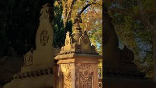 🍂 Autumn in Central Park New York City Enjoying Fall Vibes in Manhattan NY USA America 4k [upl. by Attennaej]