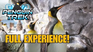 Penguin Trek Queue Ride Exhibit Store Full Tour  SeaWorld Orlando [upl. by Otti466]