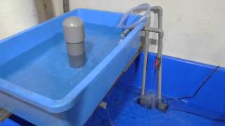 Basic Aquaponics  Siphon Water Test [upl. by Fields]