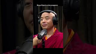 Mingyur Rinpoche on time management [upl. by Terrel843]