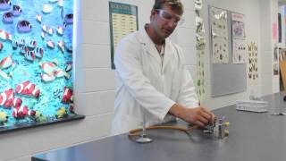 Bunsen Burner instructional video  How to use a bunsen burner [upl. by Kcim]