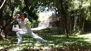 Kickboxer Training Parody [upl. by Zarihs]