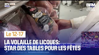 De la volaille de Licques servie à lElysée pour les fêtes [upl. by Erie]