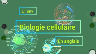 biologie cellulaire chapitre 01 بالانجليزيه🧬🔬 partie 02 L1 biologie cellulaire [upl. by Einahpad275]