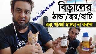 বিড়ালের ঠান্ডা  জ্বর  হাঁচি এবং খাওয়াদাওয়া না করলে  নিজে নিজেই চিকিৎসা করুন ঘড়ে বসে 🐱🐈😸 [upl. by Hildagarde24]