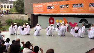 Ballet Folklórico CitlaliVeracruz Sotavento El colas [upl. by Faruq]