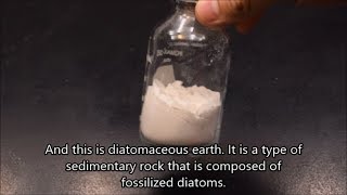 Diatomaceous Earth under the microscope [upl. by Anthea]