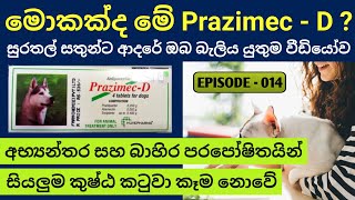 මොකක්ද මේ Prazimec  D  මේකට සුනඛයන්ගේ රෑශ් හොඳ වෙනවද [upl. by Graehme]