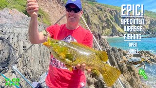 Sea Fishing Uk  Epic Wrasse Fishing With Crab  Vlog144 [upl. by Ottie]