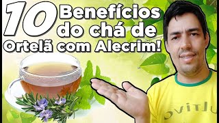 Alecrim  parte 2 como fazer mudas e cultiválo amamos alecrim [upl. by Kolnick165]