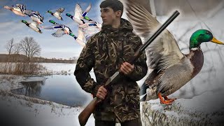 CHASSE hivernale aux CANARDS dans les marais   LuChasse [upl. by Assile]