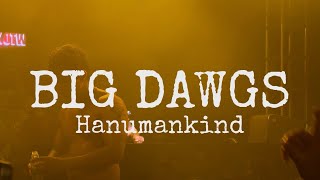 Big Dawgs  Hanumankind  Live performance at Sunburn Union [upl. by Akeylah]