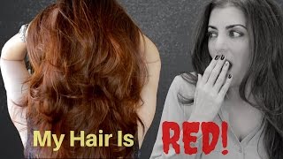 Removing Hair Color WITHOUT Bleach  DIY  Storytime [upl. by Ise]