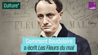 Comment Charles Baudelaire a écrit quotLes Fleurs du Malquot [upl. by Annawahs219]