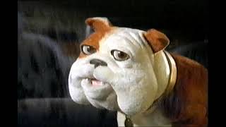 Churchill Car Insurance Nodding Dog Classic TV Advert  1996 [upl. by Ursula]