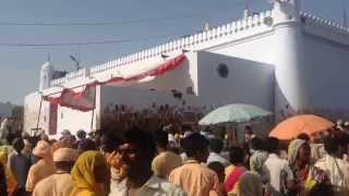 Jaharveer Goga Peer Ji Samadhi Temple  Gogamedi Fair [upl. by Amikat]