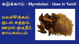 Kadukkai  Benefits in Tamil  கடுக்காய்  சித்த மருத்துவம் ஆயுர்வேதம்  காயகல்பம் [upl. by Lrigybab]