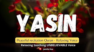 So sweet relaxing recitation of Surah Yasin Yaseen سورة يس Lovely Voice beautifulquranrecitation [upl. by Irodim]