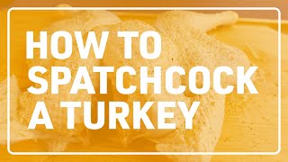 How To Spatchcock Turkey [upl. by Eneleuqcaj]