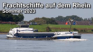 Frachtschiffe auf dem Rhein  Binnenschifffahrt  Sommer 2023 [upl. by Harshman534]