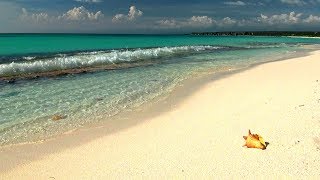 Relaxing Music with Gentle Ocean Sounds Soothing Waves and Peaceful Music [upl. by Haraf869]