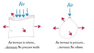 Inhaling and Exhaling  How breathing works [upl. by Nennahs]