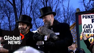 Groundhog Day 2024 Punxsutawney Phil predicts an early spring [upl. by Rumilly]