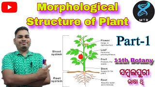 MORPHOLOGICAL STRUCTURE OF PLANT11th botanyby chudamani sir [upl. by Joris]