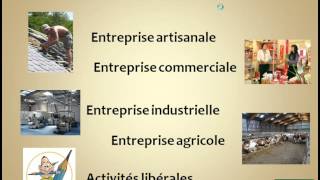 Economie  Les différents types dentreprises [upl. by Beutler246]