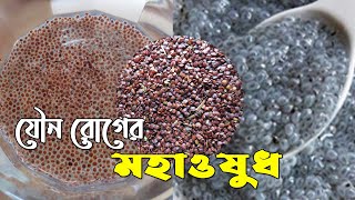 যৌন রোগের মহাওষুধ তালমাখানা  তালমাখনা খাওয়ার নিয়ম ও ভেষজ গুণাবলি  Talmakhana Upokarita [upl. by Geaghan]