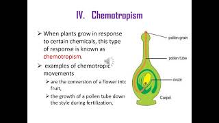 Grade 10 biology response in plantsHormones in Amharic [upl. by Fortuna547]