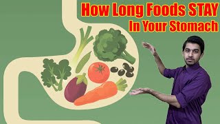 How Long Do Foods Stay In Your Stomach  How Long Does it Take to Digest These Foods [upl. by Harutek398]