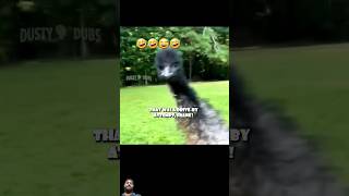 ostrich vs hunter 🔥🔥animals shortvideo funny shortfeed youtubeshort shorts india wildlife [upl. by Irep]