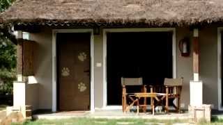 Asiatic Lion Lodge Sasan Gir Gir National Parkvisit video [upl. by Aiset637]