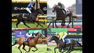 Caulfield Cup Runner By Runner Preview [upl. by Mazlack]