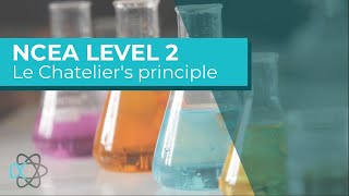 NCEA L2 Chemistry Le Chateliers principle explained [upl. by Plumbo515]