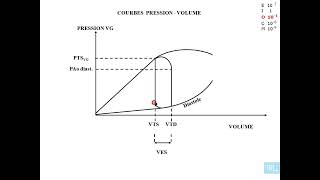 7  Physiologie cardio vasculaire partie 7 [upl. by Yasnyl]