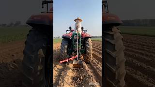 tractor draiving smart cat trendingshorts song catvideos shortsfeed funny newsong [upl. by Herman]