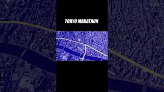 TOKYO MARATHON [upl. by Neeham]