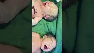 Newborn twins crying very loudly Very cute [upl. by Crary]