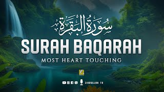 Worlds most relaxing HEART TOUCHING Surah AlBaqarah Full سورة البقره  Zikrullah TV [upl. by Wauters]