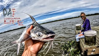 Catfishin and Scouting in the Middle of Nowhere in the Atchafalaya Delta [upl. by Isyak]