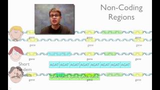 DNA Fingerprinting [upl. by Camfort810]