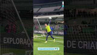 🧤 MARCHESÍN 🇪🇪🇪🇪 [upl. by Debbee38]